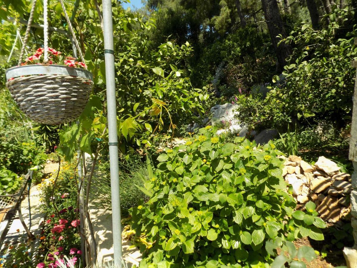 Apartments Zerjav Mali Lošinj Екстериор снимка